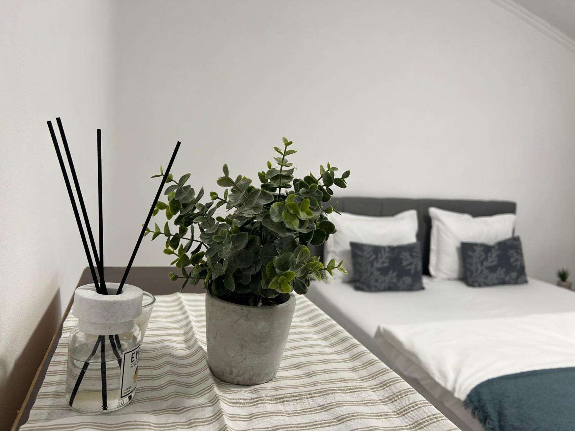 Appartamento Ndl City Center Cluj-Napoca Esterno foto